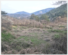  2025Ÿ��379  �����