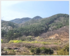  2025Ÿ��379  �����