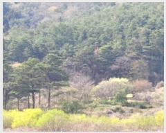  2025Ÿ��379  �����