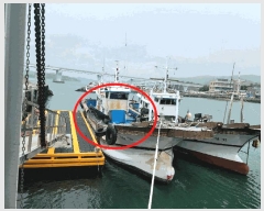  2025Ÿ391           ڰ