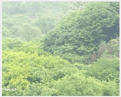  2025Ÿ��421 ���� ����� ������ �žƸ� 22      ����(��1)���