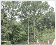  2025Ÿ��421 ���� ����� ������ �žƸ� 22      ����(��1)���