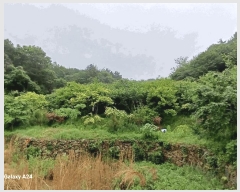  2025Ÿ��421 ���� ����� ������ �žƸ� 22      ����(��1)���