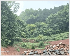  2025Ÿ��421 ���� ����� ������ �žƸ� 22      ����(��1)���