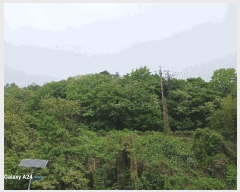  2025Ÿ��421 ���� ����� ������ �žƸ� 22      ����(��1)���