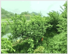  2025Ÿ��421 ���� ����� ������ �žƸ� 22      ����(��1)���