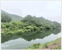  2025Ÿ��421 ���� ����� ������ �žƸ� 22      ����(��1)���