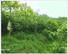  2025Ÿ��421 ���� ����� ������ �žƸ� 22      ����(��1)���