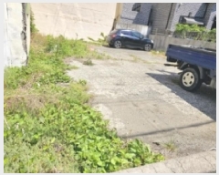  2025Ÿ433  õ õ 242       ()