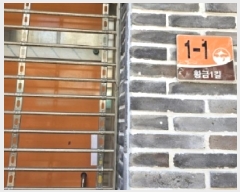  2025Ÿ433  õ  81       ٸü,󰡰