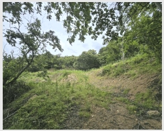  2025Ÿ��439  ����