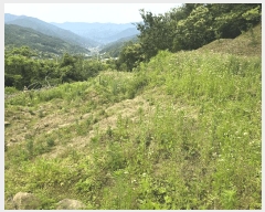  2025Ÿ��439  ����