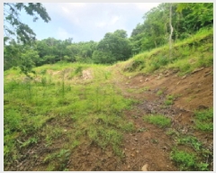  2025Ÿ��439  ����