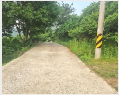  2025Ÿ��439  ����