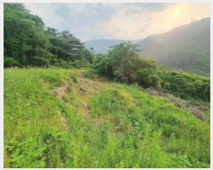  2025Ÿ��439  ����