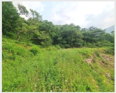  2025Ÿ��439  ����