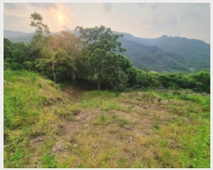  2025Ÿ��439  ����