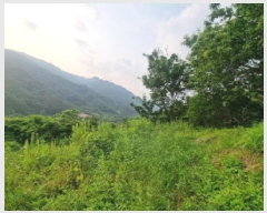  2025Ÿ��439  ����