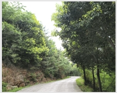  2025Ÿ��446 ���� ����� ������ ������ 934-2      ����(������)���