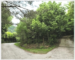  2025Ÿ��446 ���� ����� ������ ������ 934-2      ����(������)���