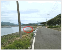  2025Ÿ��446 ���� ����� ������ ������ 934-2      ����(������)���