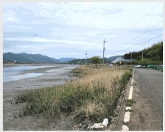  2025Ÿ��446 ���� ����� ������ ������ 934-2      ����(������)���