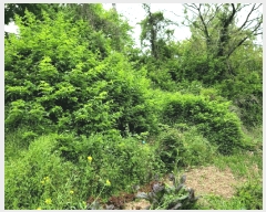  2025Ÿ��446 ���� ����� ������ ������ 934-2      ����(������)���