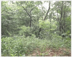  2025Ÿ��463 ���� ������ ���̸� ���긮 432-4      ����(�Ӿ�)���