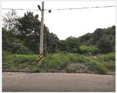  2025Ÿ��463 ���� ������ ���̸� ���긮 432-4      ����(�Ӿ�)���