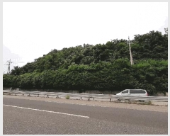  2025Ÿ��463 ���� ������ ���̸� ���긮 432-4      ����(�Ӿ�)���