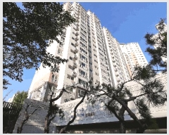  2025Ÿ��511  ����Ʈ���