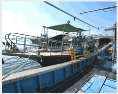  2025Ÿ541 ﱺ          ڰ