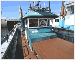  2025Ÿ541 ﱺ          ڰ