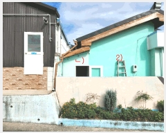  2025Ÿ��559  ���ð��