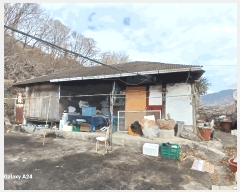  2025Ÿ��50886  ���ð��