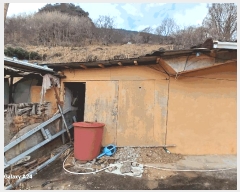  2025Ÿ��50886  ���ð��