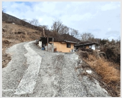  2025Ÿ��50886  ���ð��