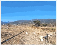  2025Ÿ51001  ʱ   785      (1)