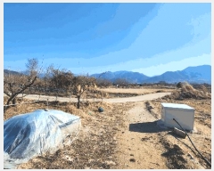  2025Ÿ51001  ʱ   785      (1)