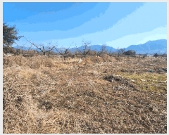  2025Ÿ51001  ʱ   785      (1)