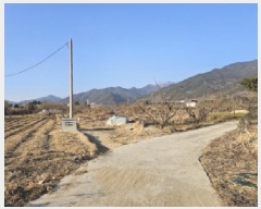  2025Ÿ51001  ʱ   785      (1)