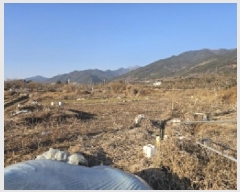  2025Ÿ51001  ʱ   785      (1)