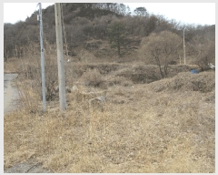  2025Ÿ��51087 ���� ����� �پи� ��õ�� 2139-1      ����(��)���