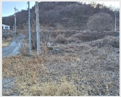  2025Ÿ��51087 ���� ����� �پи� ��õ�� 2139-1      ����(��)���