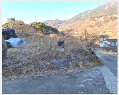  2025Ÿ��51087 ���� ����� �پи� ��õ�� 2139-1      ����(��)���