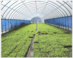  2025Ÿ51159   ȭ ̸ 477-1      (1)