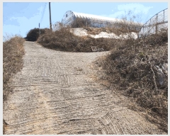  2025Ÿ51159   ȭ ̸ 477-1      (1)