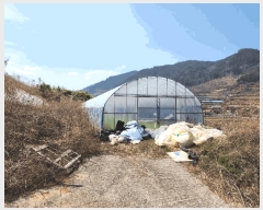  2025Ÿ51159   ȭ ̸ 477-1      (1)