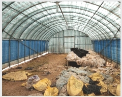  2025Ÿ51159   ȭ ̸ 477-1      (1)