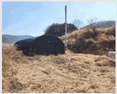  2025Ÿ51159   ȭ ̸ 477-1      (1)